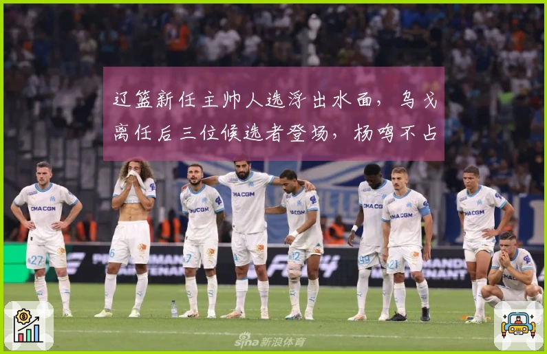辽篮新任主帅人选浮出水面,乌戈离任后三位候选者登场,杨鸣不占优势