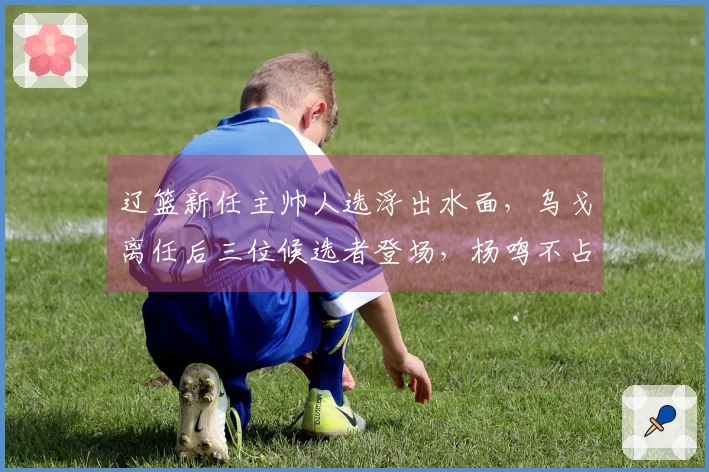 辽篮新任主帅人选浮出水面，乌戈离任后三位候选者登场，杨鸣不占优势