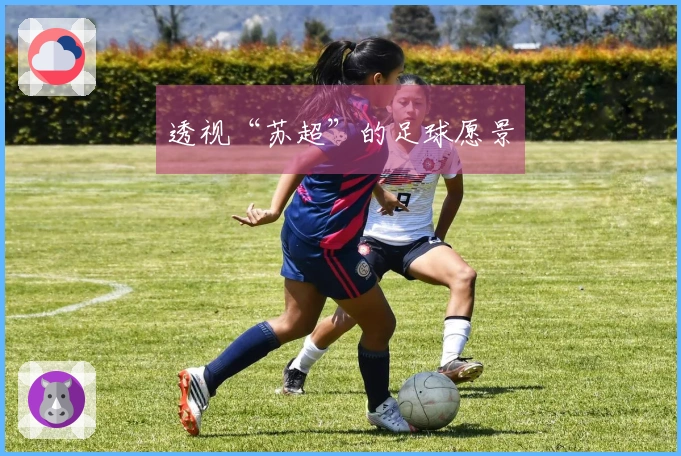 透视“苏超”的足球愿景