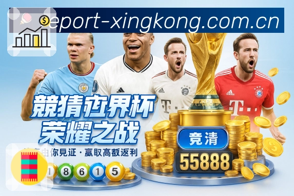 比赛解说与提示